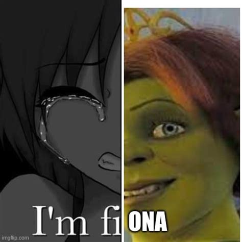 I'm Fiona : r/Shrekmemes