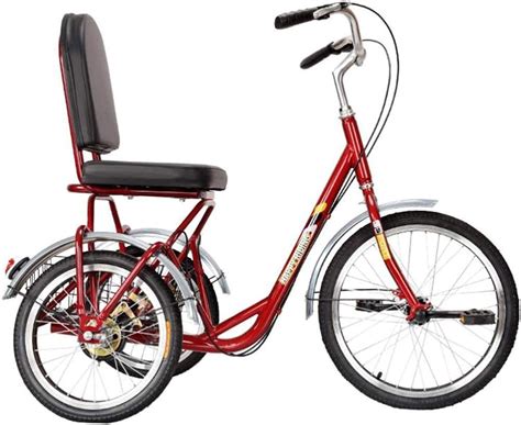 Three Wheeled Trikes for Adults - eBikeAI