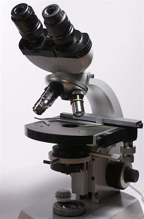 What is a Dark Field Microscope? (with pictures)