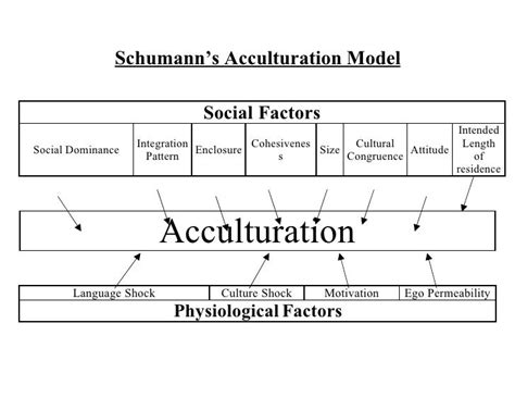 Acculturation Model