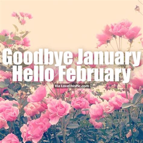 Goodbye January, Hello February Floral Quote Pictures, Photos, and ...