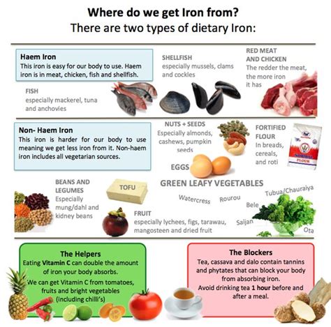 Avoiding Iron Deficiency Anemia on a Flexitarian Diet – Supplefer Sprinkles