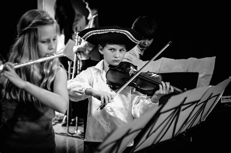 Free Images : music, black and white, concert, instrument, musician, performance art, violin ...