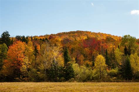 Beautiful Fall Colors (Lowell, VT) [OC] [1600x1065] : EarthPorn