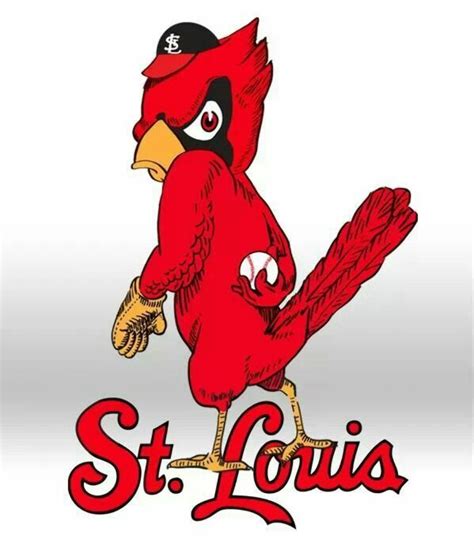 Download High Quality st louis cardinals logo vector Transparent PNG ...