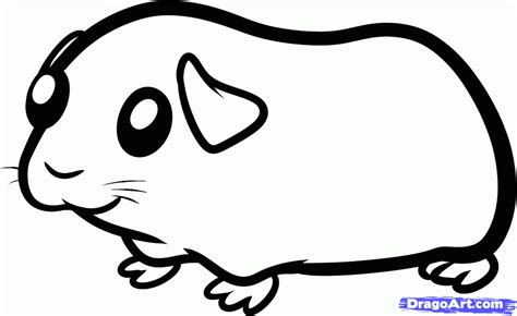 guinea pig coloring pages | how to draw a guinea pig for kids step 5 ...