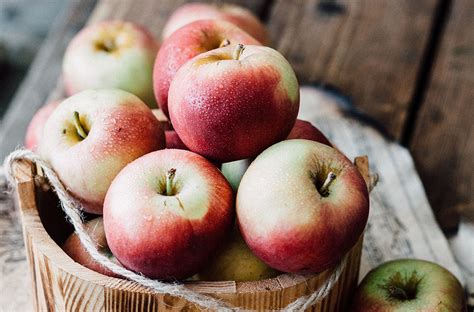 Top 10 Orchards for Apple Picking in and Around Brampton | Bramptonist