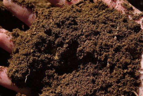 How to Make Peat Fuel Pellets from Peat Harvesting to Peat Pellet Mill