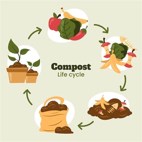 Free Vector | Hand drawn flat compost cycle | Compost, Vermicomposting, How to make compost