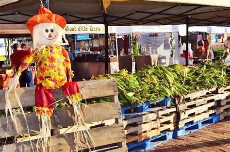 Winter Garden Corn Harvest Festival | Today's Orlando