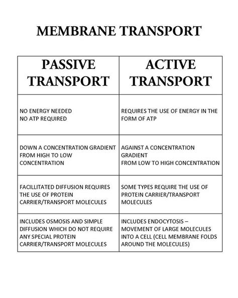 Understanding Membrane Transport in Biological Systems