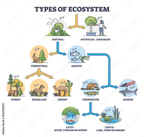 Types of ecosystem with natural and artificial division outline diagram. Labeled educational ...