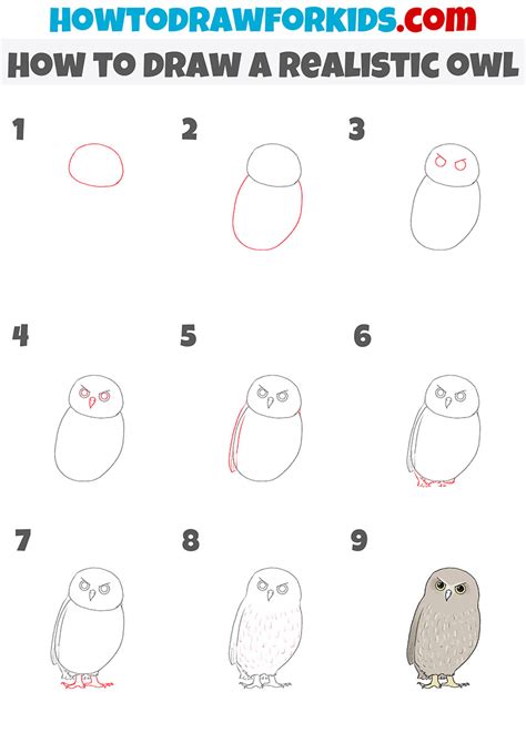 How to Draw a Realistic Owl - Easy Drawing Tutorial For Kids