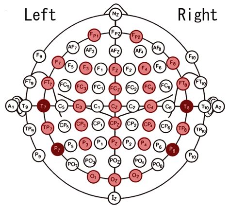 EEG electrode placement (red circles). The diagram is a modification of ...