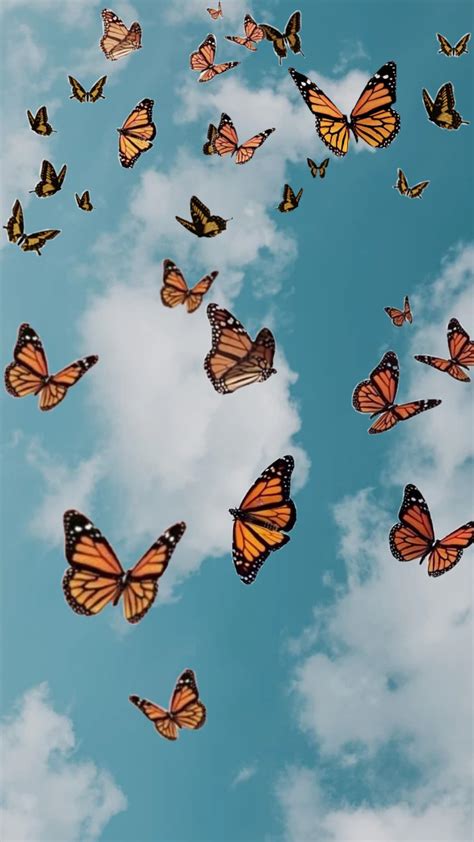 Cute Aesthetic Butterflies Wallpapers - Wallpaper Cave