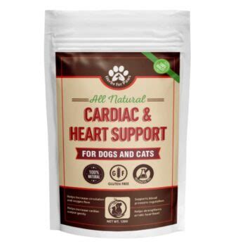 The 14 Best Heart Supplements For Dogs