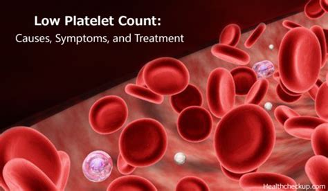 Low Platelet Count Causes, Symptoms and Treatment | How to Diagnose?