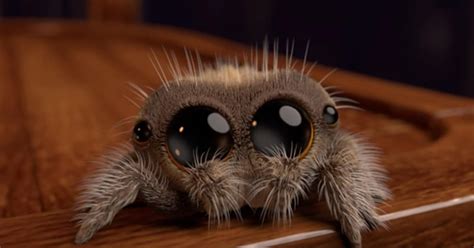 Adorable Animated Spider Will Make Even Arachnophobes Smile