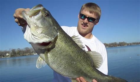 Bass Fishing Tips and Techniques - How To Catch Big Bass - FishFinders.info