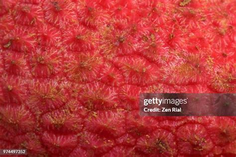 3,114 Lychee Fruit Stock Photos, High-Res Pictures, and Images - Getty Images