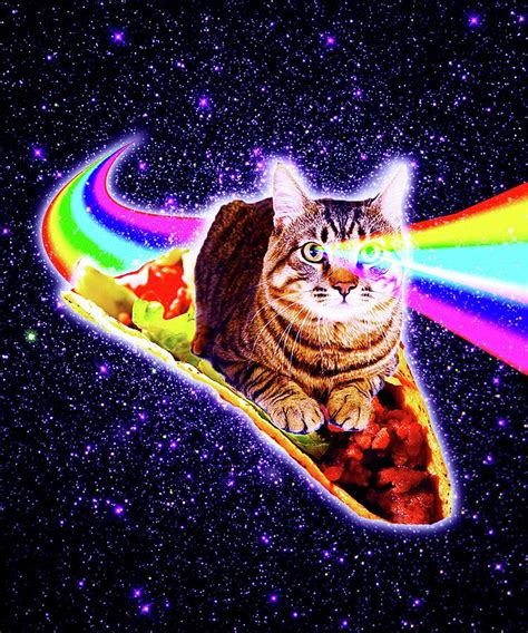 Rainbow Laser Eyes Galaxy Cat Riding Taco Digital Art by Random Galaxy