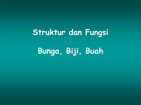 Fantastis 30 Gambar Bunga Matahari Dan Fungsinya - Galeri Bunga HD