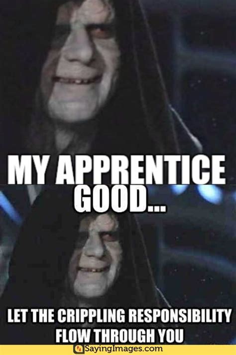 20 Emperor Palpatine Memes That'll Make the Fans Laugh - SayingImages ...