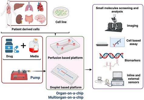 Multiorgan-on-a-Chip: A Systemic Approach To Model And, 59% OFF