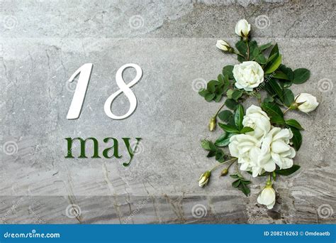 May 18th. Day 18 of Month, Calendar Date. Stylish Roses Flat Lay Stock Image - Image of ...