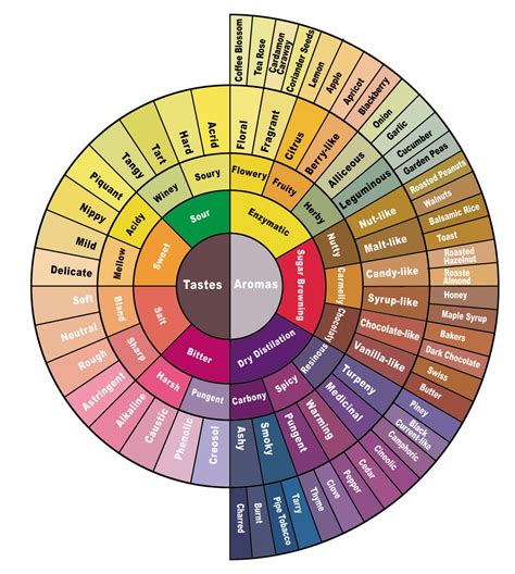 Coffee Tasting Profiles — Guide 2 Coffee