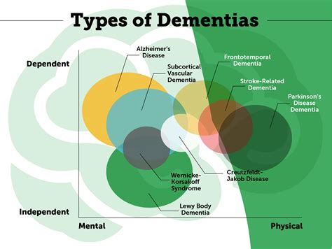 What is Dementia? Dementia vs Alzheimer's Disease