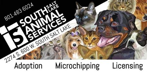 Animal Services | South Salt Lake, UT