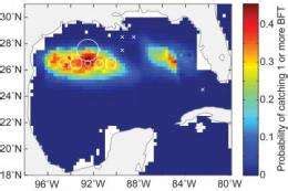 New study maps spawning habitat of bluefin tuna in the Gulf of Mexico