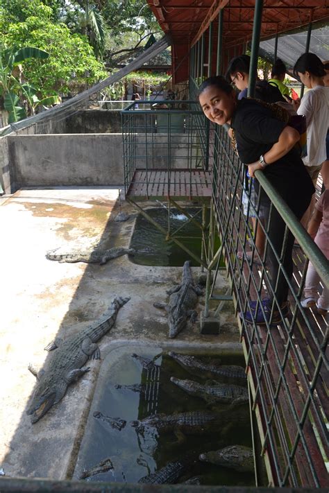 Palawan Crocodile Farm - Palawan