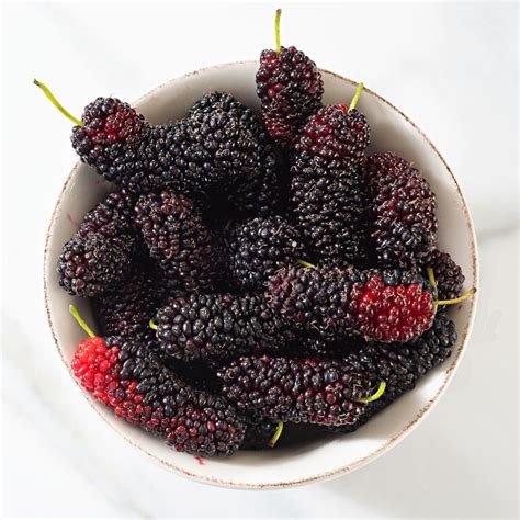 Nutrition Benefits and Cooking With Mulberries in 2020 | Homemade ...