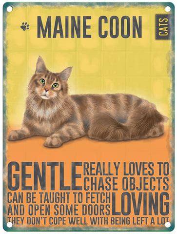 Maine Coon Cat – The Original Metal Sign Company