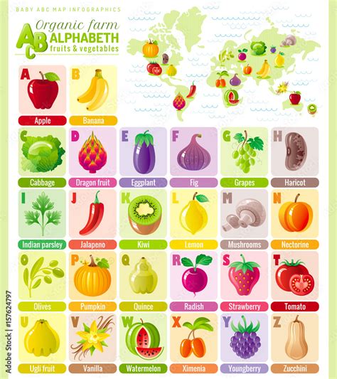 Alphabet food infographics. Fruit, vegetable, berry, spice icon set ...