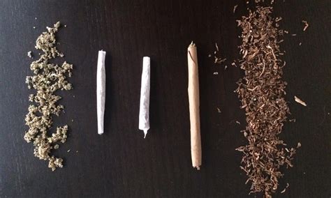 Joints vs. blunts vs. spliffs: What's the difference? | Leafly