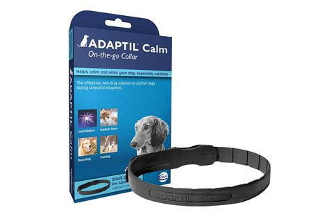 The 10 Best Calming Travel Products for Dogs of 2024