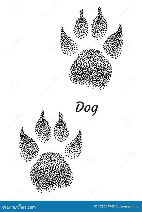 Dog Footprint Illustration, Drawing, Engraving, Ink, Line Art, Vector Stock Vector ...