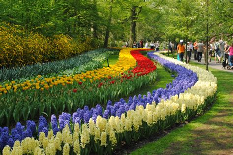 An Army Wife's True Life: Tulip Festival: Keukenhof, Netherlands