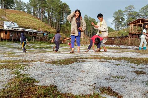 Icy-cool summer in Benguet | ABS-CBN News