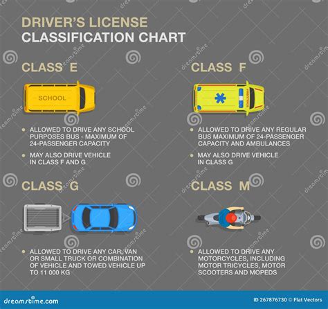 Types of Driving Licences and Descriptions. Driver`s License Classification Chart Infographic ...