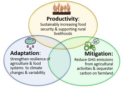 Climate Smart Agriculture Policy | Center for Environmental Policy & Behavior