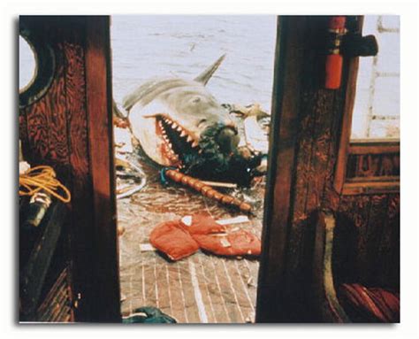 (SS3168009) Movie picture of Jaws buy celebrity photos and posters at ...