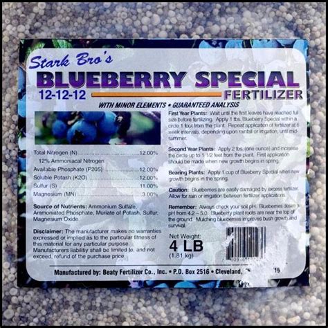 Best Fertilizer For Blueberries | The Garden