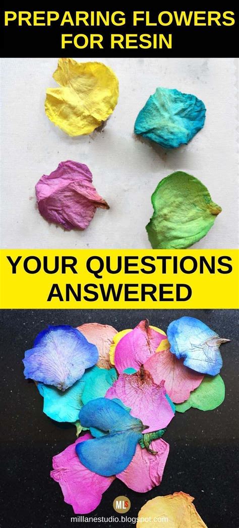 Preparing Flowers for Resin - FAQs | Dried flowers diy, Resin flowers ...