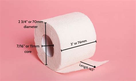 Toilet Paper Roll Dimensions (Size Chart Included)
