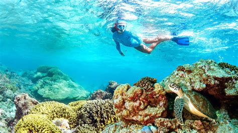 Snorkeling in Bandar Khiran Island - Muscat Sea Tours