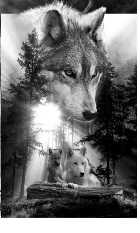 How To Draw A Wolf Spirit Art Illustrations Pinterest - vrogue.co